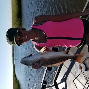 Meet your Posher, Tess